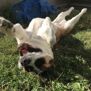 Fundraising Page: Murphy PAC Alum